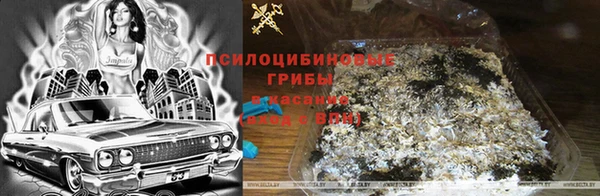 дмт Баксан