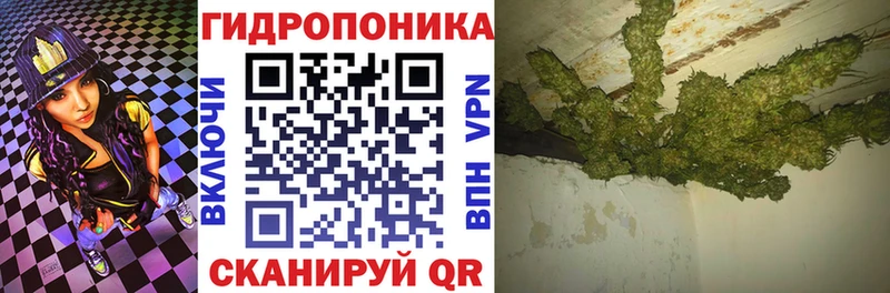 где можно купить   Бузулук  МАРИХУАНА SATIVA & INDICA 